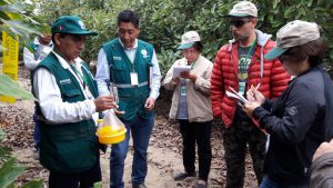 Delegación de Filipinas culmina visita en origen con miras a la apertura del mercado para palta Hass peruana