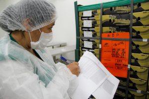 Envíos a EE.UU., China y Tailandia destacan en inicio de campaña de exportación de arándanos