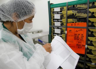 Envíos a EE.UU., China y Tailandia destacan en inicio de campaña de exportación de arándano