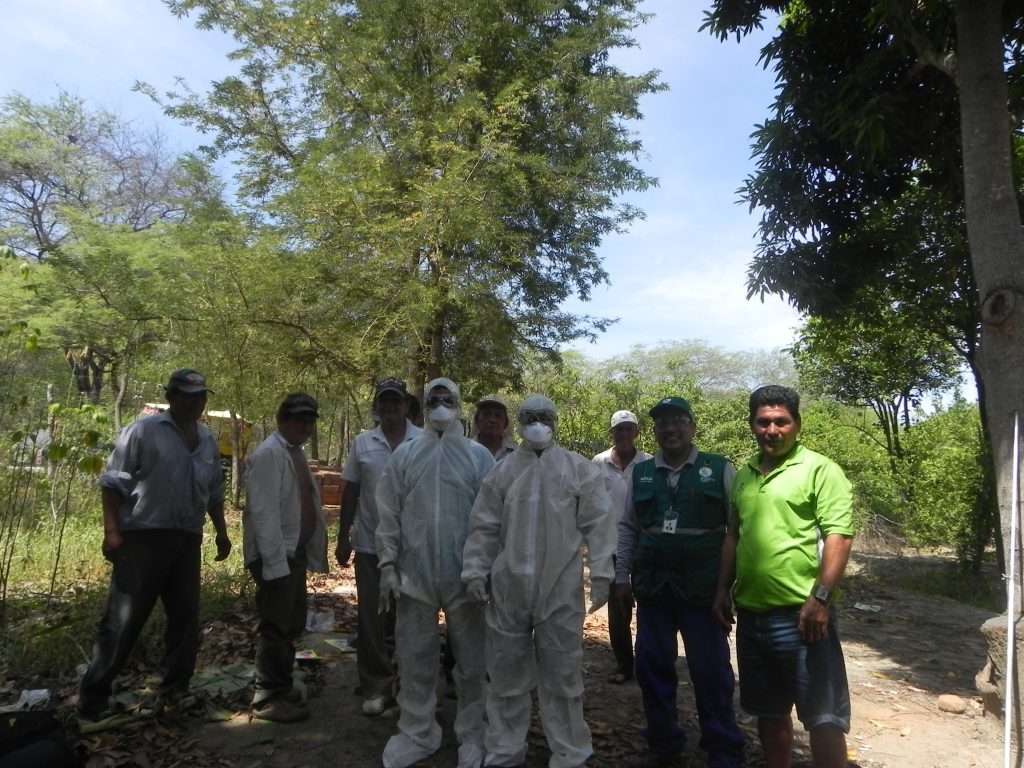 Más de 300 tumb 2esinos capacitadas en el uso de plaguicidas