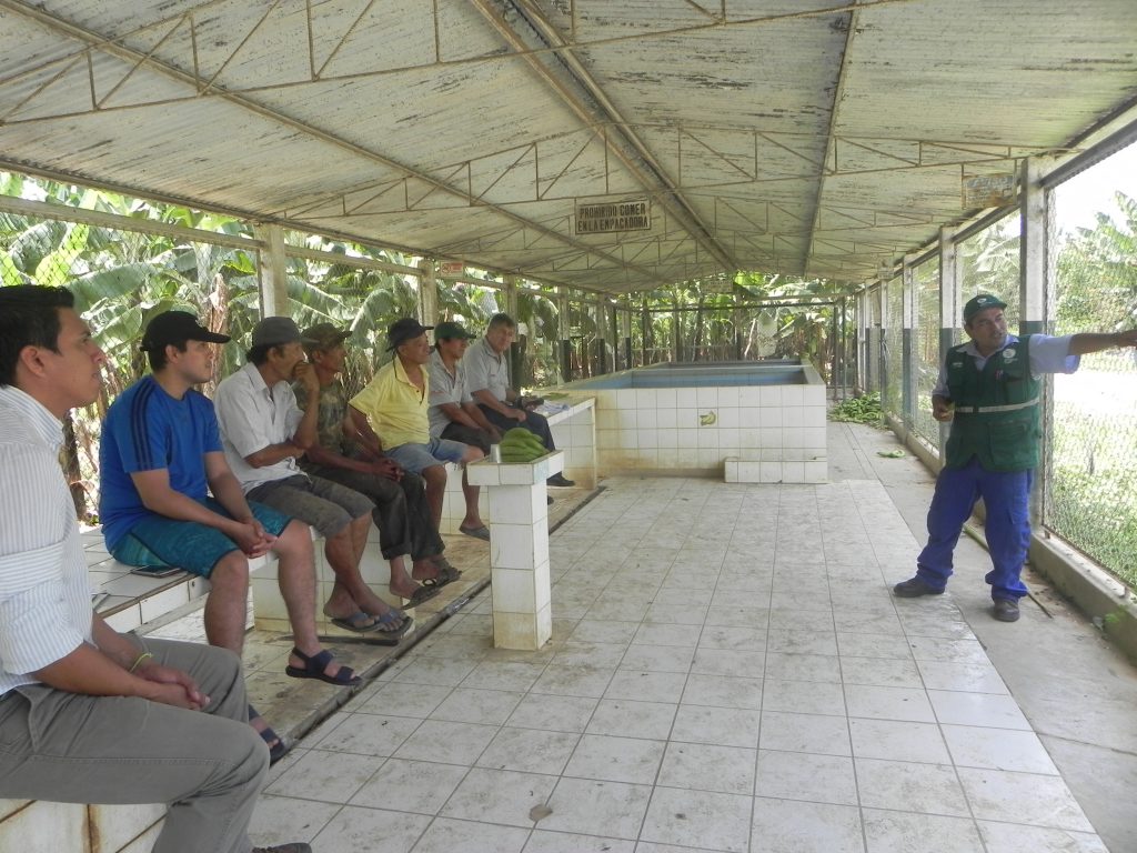 Más de 300 tumbesinos capacitadas en el uso de plaguicidas 1