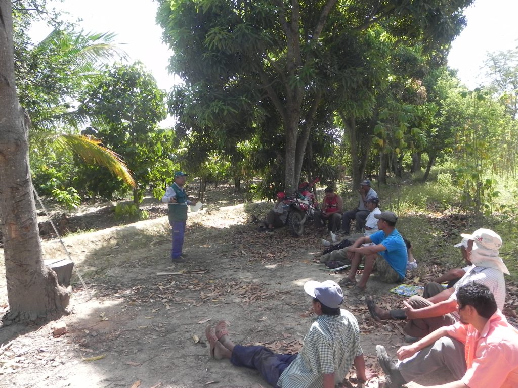 Más de 300 tumbesinos capacitadas en el uso de plaguicidas 2