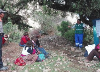 Apurímac: Productores de Circa inician su aprendizaje en el control de plagas de papa