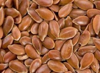 SENASA autoriza el ingreso de granos de linaza procedentes de Dakota del Norte – EE.UU.