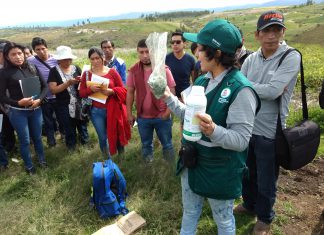 SENASA realiza acciones de prevención y monitoreo para evitar contaminación de plaguicidas en productos agropecuarios