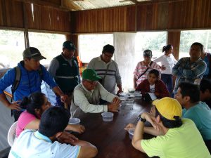 Senasa - Productores de Ucayali comprueban buenos resultados del control biológico frente a plagas forestales