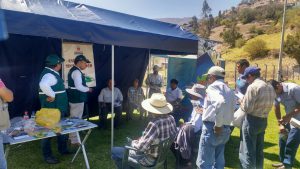 Senasa - Taller de campo en Torata recibe a 135 productores agropecuarios