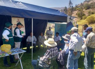 Moquegua: Taller de campo en Torata recibe a 135 productores agropecuarios