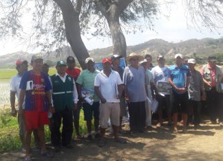 Tumbes: Senasa refuerza conocimiento de productores para el control de plagas en el cultivo de arroz