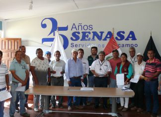 Senasa y fruticultores del Vraem toman acción contra la mosca de la fruta