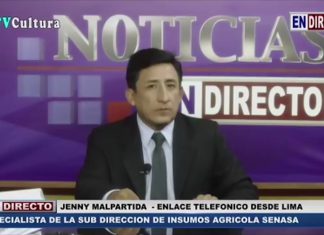 TV Cultura Abancay: Entrevista sobre uso adecuado de plaguicidas