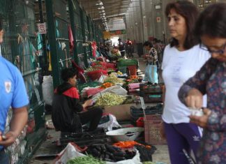 Precios de alimentos podrán ser recabados con teléfonos y tablets