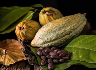 El sector agropecuario creció en 8.4% en primer semestre de 2018