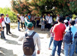 Tumbes: Capacitación a profesionales agrarios para evitar ingreso de plagas perjudiciales para el Perú