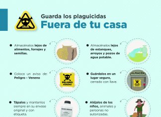 Senasa: El plaguicida es veneno – Afiche Guarda los plaguicidas fuera de tu casa – Sierra