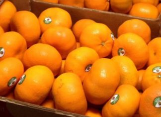 Japón abre sus puertas a la mandarina peruana