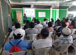 Pequeños productores de mango se benefician con charlas informativas del Senasa