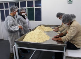 Delegación de China recorren plantas de empaque y procesamiento primario de quinua