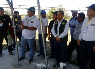 MINAGRI: Acción conjunta con Gobierno Regional benefició a 6 mil productores de banano orgánico en Piura