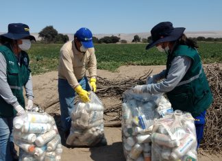 Autoridades y agricultores unidos para promover recojo de envases de plaguicidas en Ocucaje
