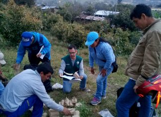 Cajamarca: Jornada de sanidad e inocuidad en San Pablo