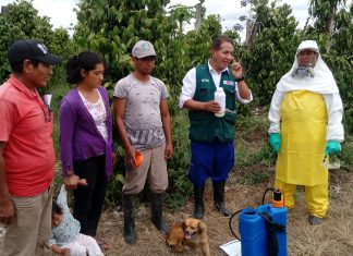 Ucayali: Productores aprenden sobre aplicación responsable de plaguicidas en sus campos
