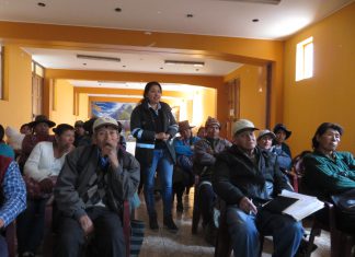 Productores cusqueños aprenden a identificar enfermedades de las abejas