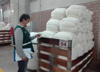 Arequipa: Senasa certifica más de 2300 toneladas de tops de pelo de alpaca para exportación