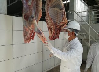 Lambayeque: La importancia que los mataderos cumplan con medidas sanitarias
