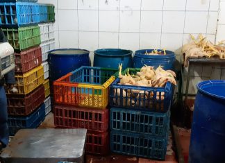 Realizan operativo en centro de faenamiento de aves clandestino