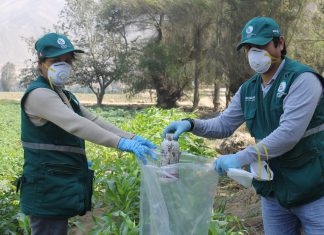 Senasa, productores y empresas privadas suman esfuerzos para impulsar recojo de envases de plaguicidas a nivel nacional