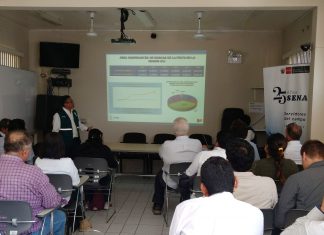 Ica: Senasa y productores de uva de mesa toman acciones contra la mosca de la fruta