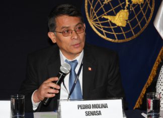 La quinua peruana se alista para ingresar a China