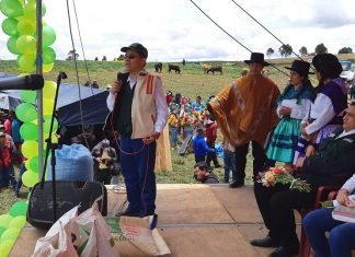 Minagri siembra pastos en beneficio de ganaderos rurales de Apurímac