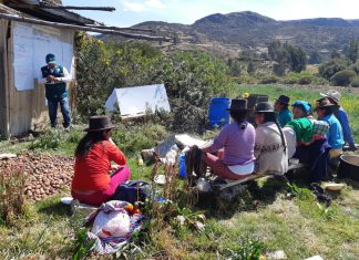 Ayacucho: Agricultores se forman en el manejo integrado de plagas de la papa