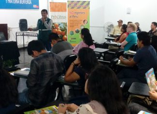 Piura: Capacitan a productores y estudiantes sobre plaga que afecta a limones y mandarinas