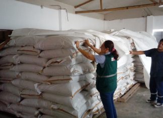Ucayali: Certifican más 20 toneladas de semilla forrajera para exportación a India