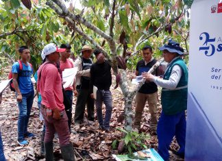 Ucayali: Estudiantes aplicarán conocimientos adquiridos sobre control biológico