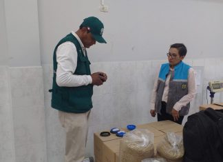 Senasa: No se reporta presencia de gorgojo Khapra en almacenes de Moquegua
