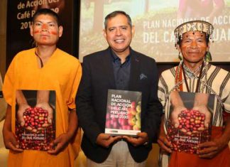 MINAGRI presenta Plan Nacional de Acción del Café en beneficio de 233 mil familias dedicadas a este cultivo