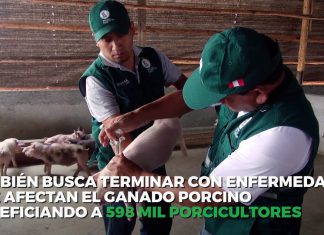 SENASA: Gobierno pondrá en marcha programa de sanidad e inocuidad alimentaria con apoyo del BID