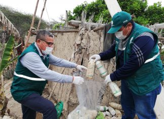 Ica: Colectan más de cuatro mil envases vacíos de plaguicidas en Ocucaje