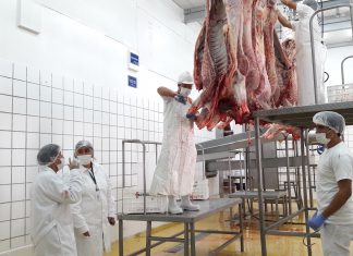 Gobiernos locales de Cajamarca inician implementación de mataderos municipales