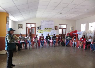 Senasa forma facilitadores en Cusco para Escuelas de Campo en el cultivo de maíz blanco