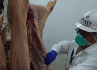 Huaral: Senasa inspecciona empresa de embutidos en Chancay