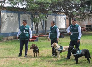 MINAGRI refuerza control de pasajeros en aeropuerto para evitar ingreso de plagas
