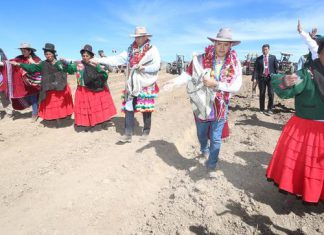 Gobierno instalará 300 mil hectáreas de pastos cultivados al 2021