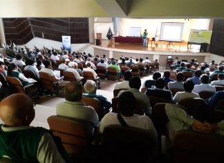 Piura: Monitoreo preventivo permite proteger cítricos del dragón amarillo (HLB)