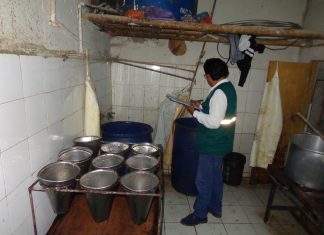 Loreto: Operativo en centros de faenamiento de aves para garantizar alimentos inocuos