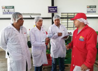 Ica: Supervisan a procesadores primarios para asegurar productos sanos y frescos